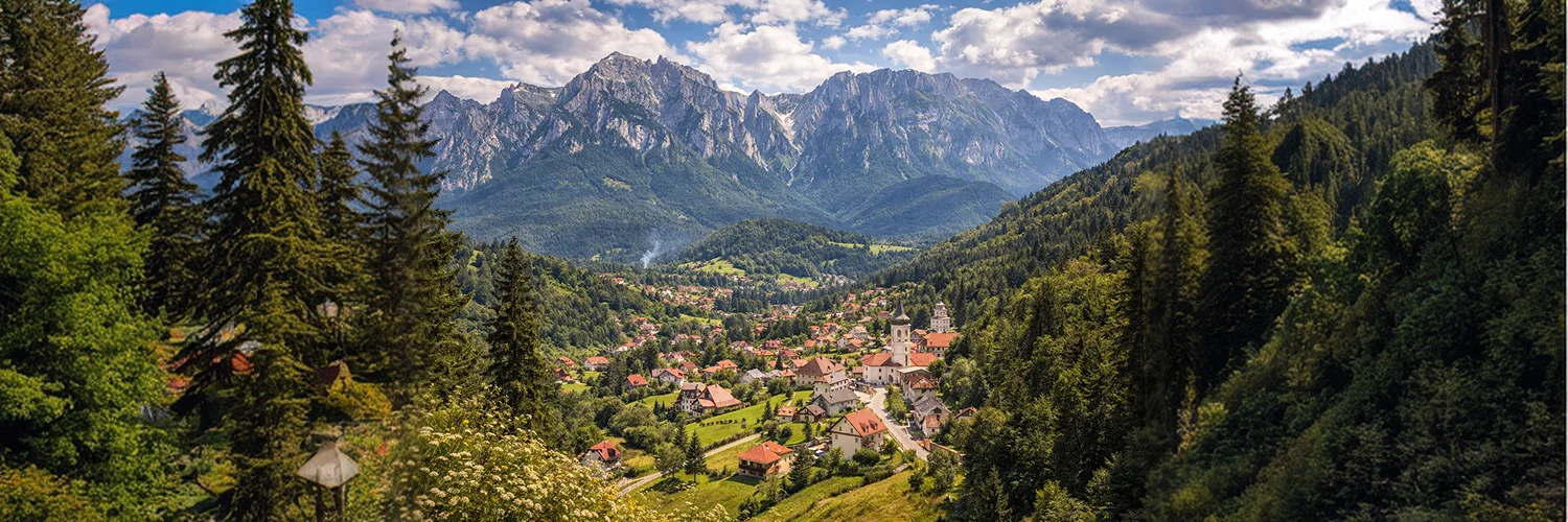 package hotel listing